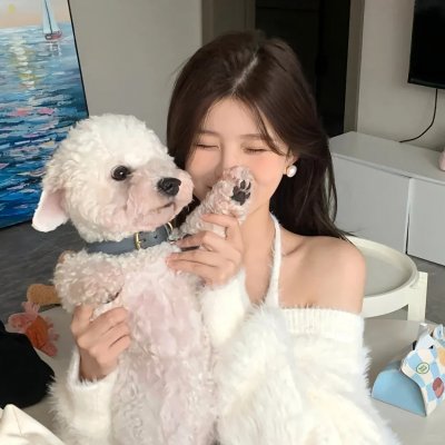 悲惨的追逐