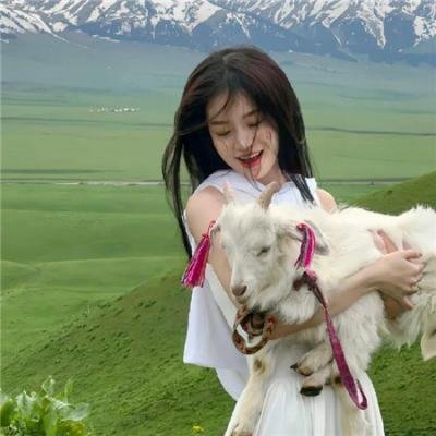 玉女神驹