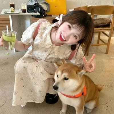 绿在追追大作战
